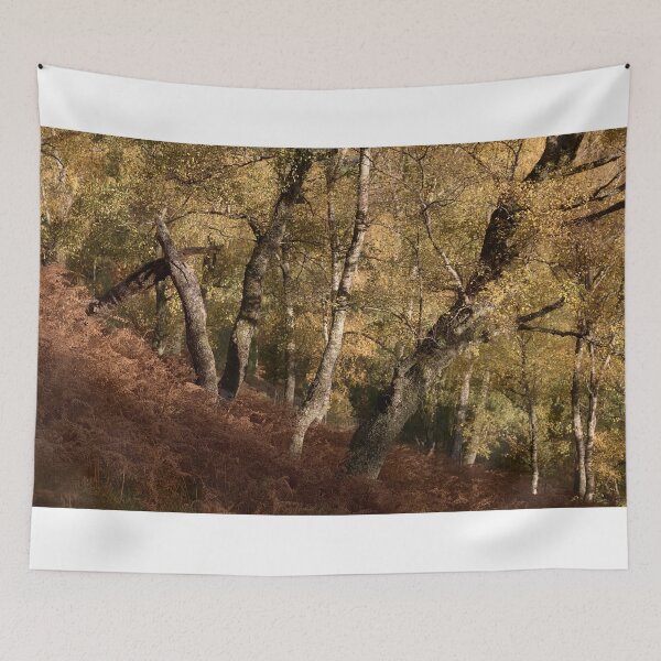 Item preview, Line of Birches designed and sold by ShinyPhoto.