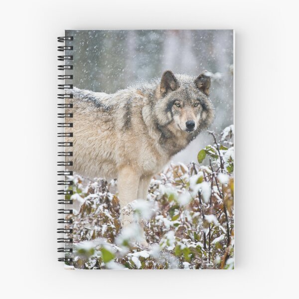 Item preview, Timber Wolf designed and sold by WolvesOnly.