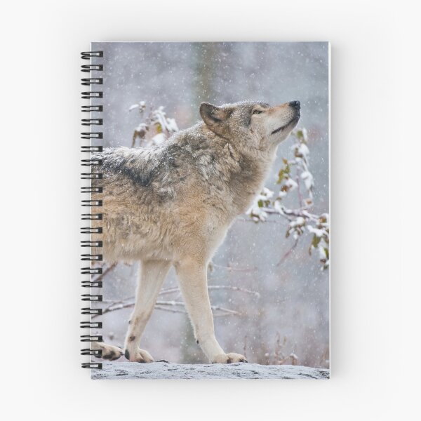 Item preview, Timber Wolf designed and sold by WolvesOnly.