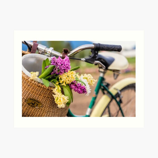 Spring Basket Art Print