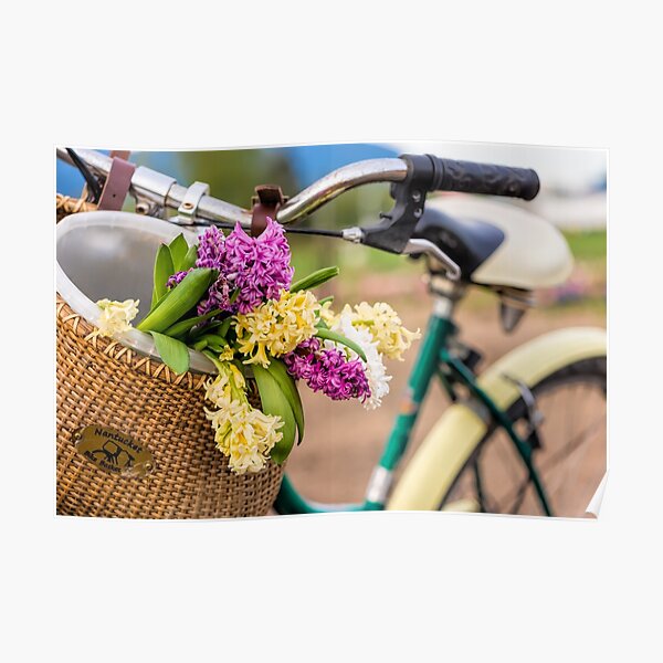 Spring Basket Poster