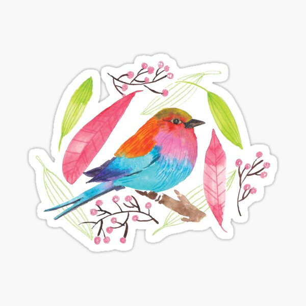 Cute colorful bird Sticker