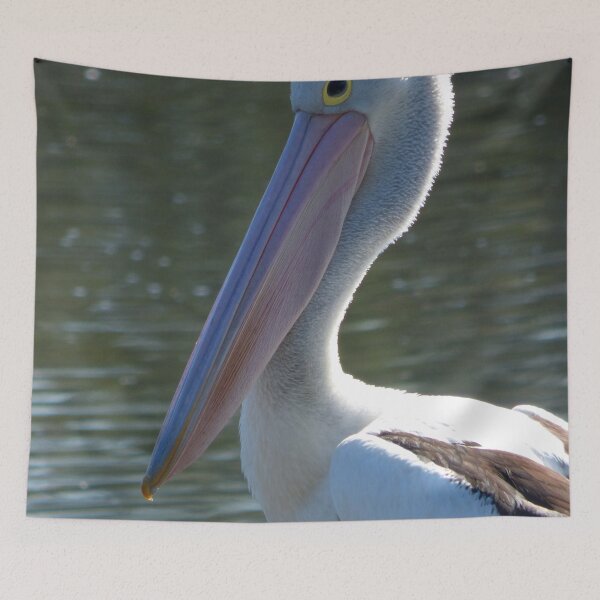 Item preview, A Pelican Portrait designed and sold by stevealder.