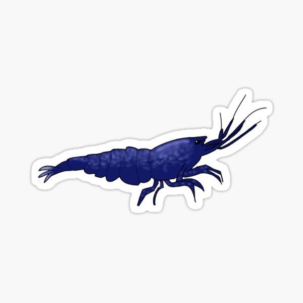 Blue Dream Shrimp Sticker