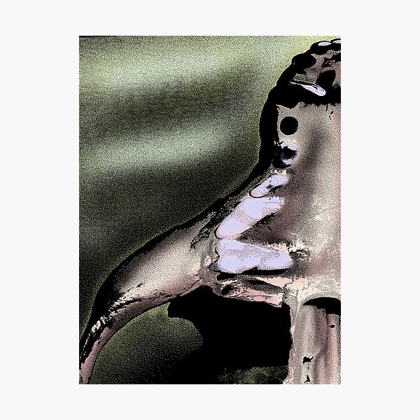 Arches Photographic Print
