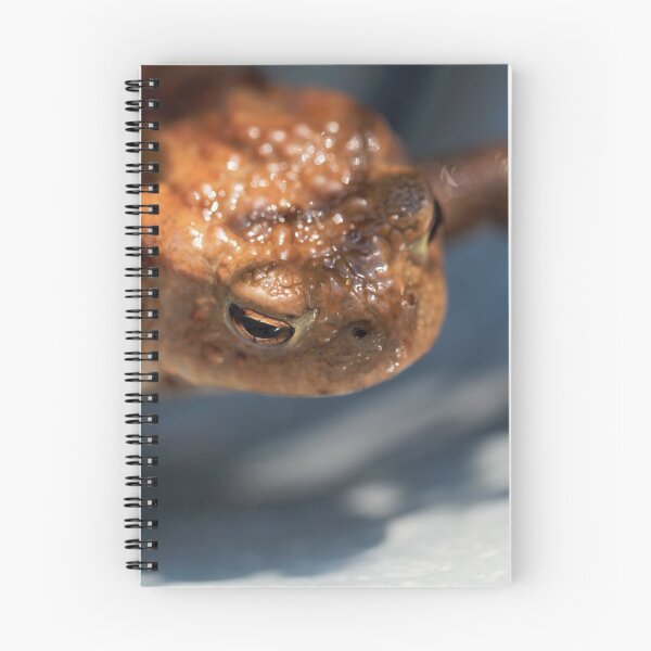 Item preview, Head of a common toad, Bufo bufo. designed and sold by Zosimus.