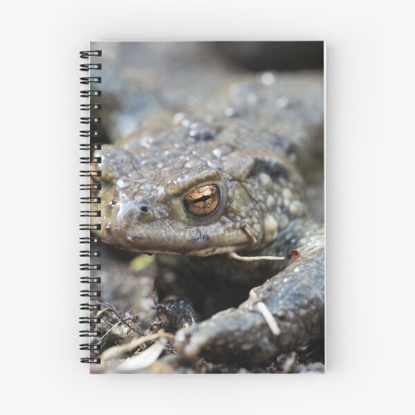 Item preview, Portrait of a common toad, Bufo bufo. designed and sold by Zosimus.