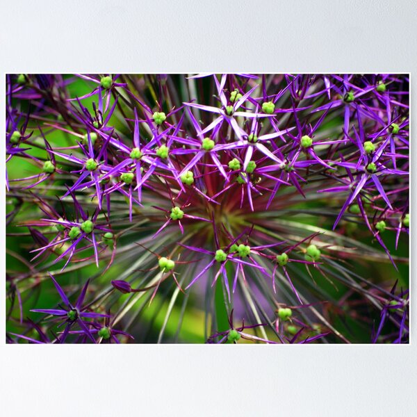 Item preview, Purple Spikes designed and sold by Terri Stapleton.