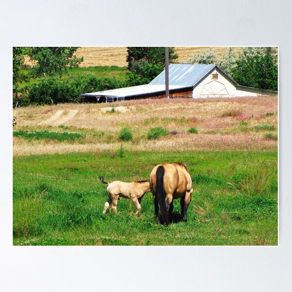 Item preview, I Love Country Life designed and sold by Diane Arndt.