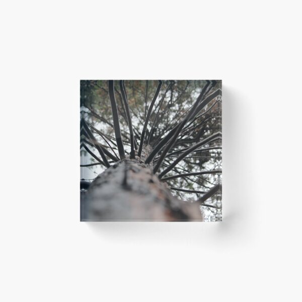 Item preview, Looking Up designed and sold by JaJoFineArt.