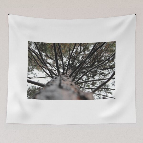 Item preview, Looking Up designed and sold by JaJoFineArt.
