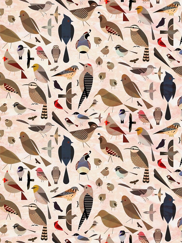 Sonoran Birds by scottpartridge
