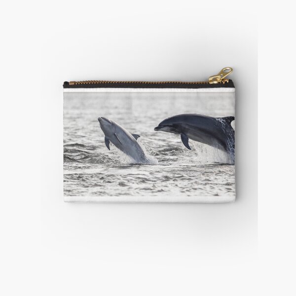 Item preview, Playful wild baby and adult dolphins designed and sold by chanonry.