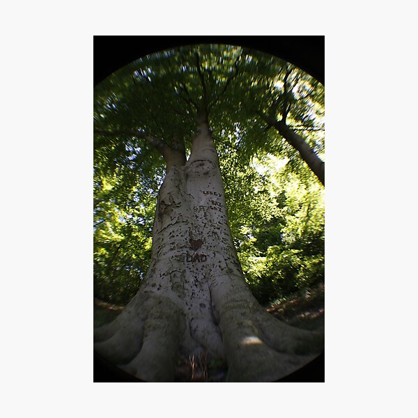 Item preview, Dads tree designed and sold by theac3man.