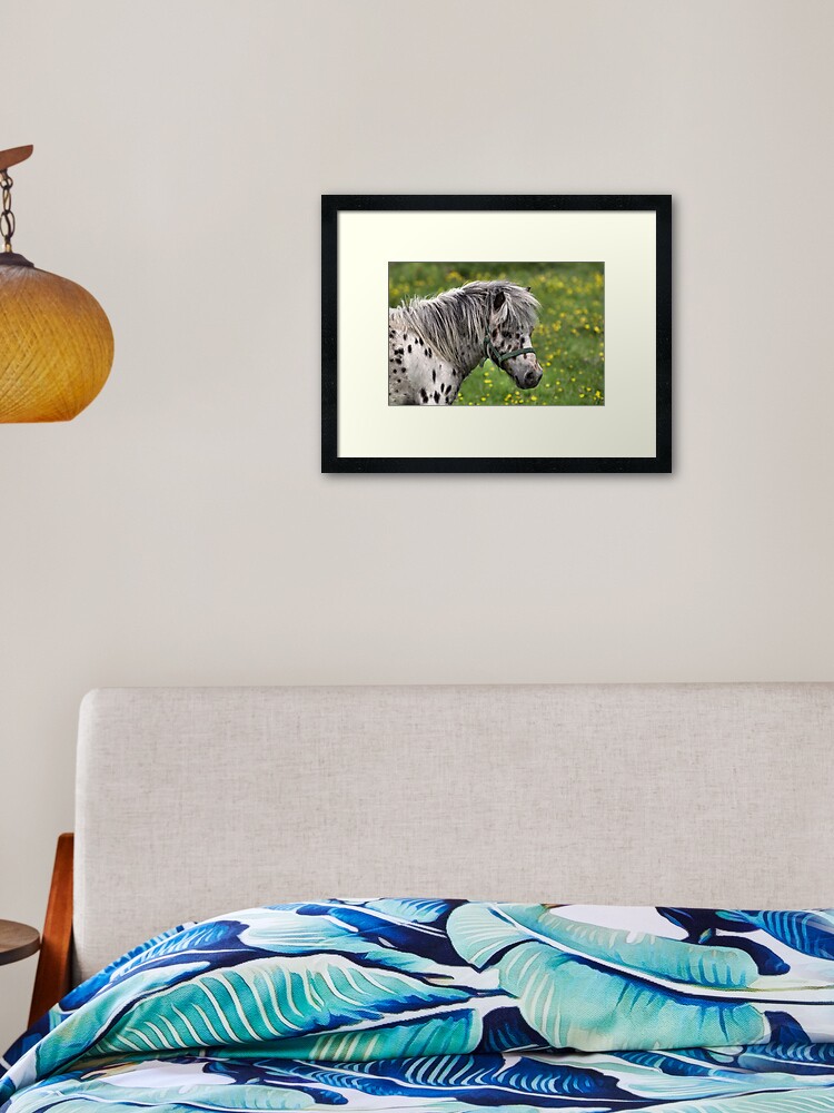 Thumbnail 1 of 7, Framed Art Print, Portrait of a Horse designed and sold by Paul Eden.