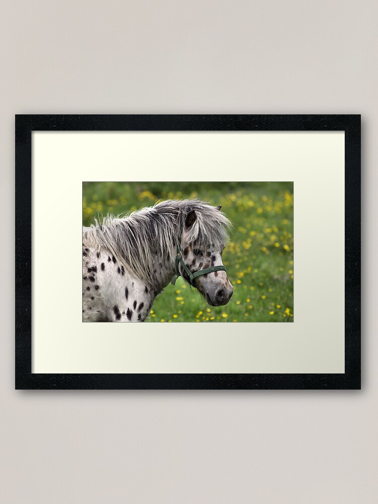 Thumbnail 2 of 7, Framed Art Print, Portrait of a Horse designed and sold by Paul Eden.