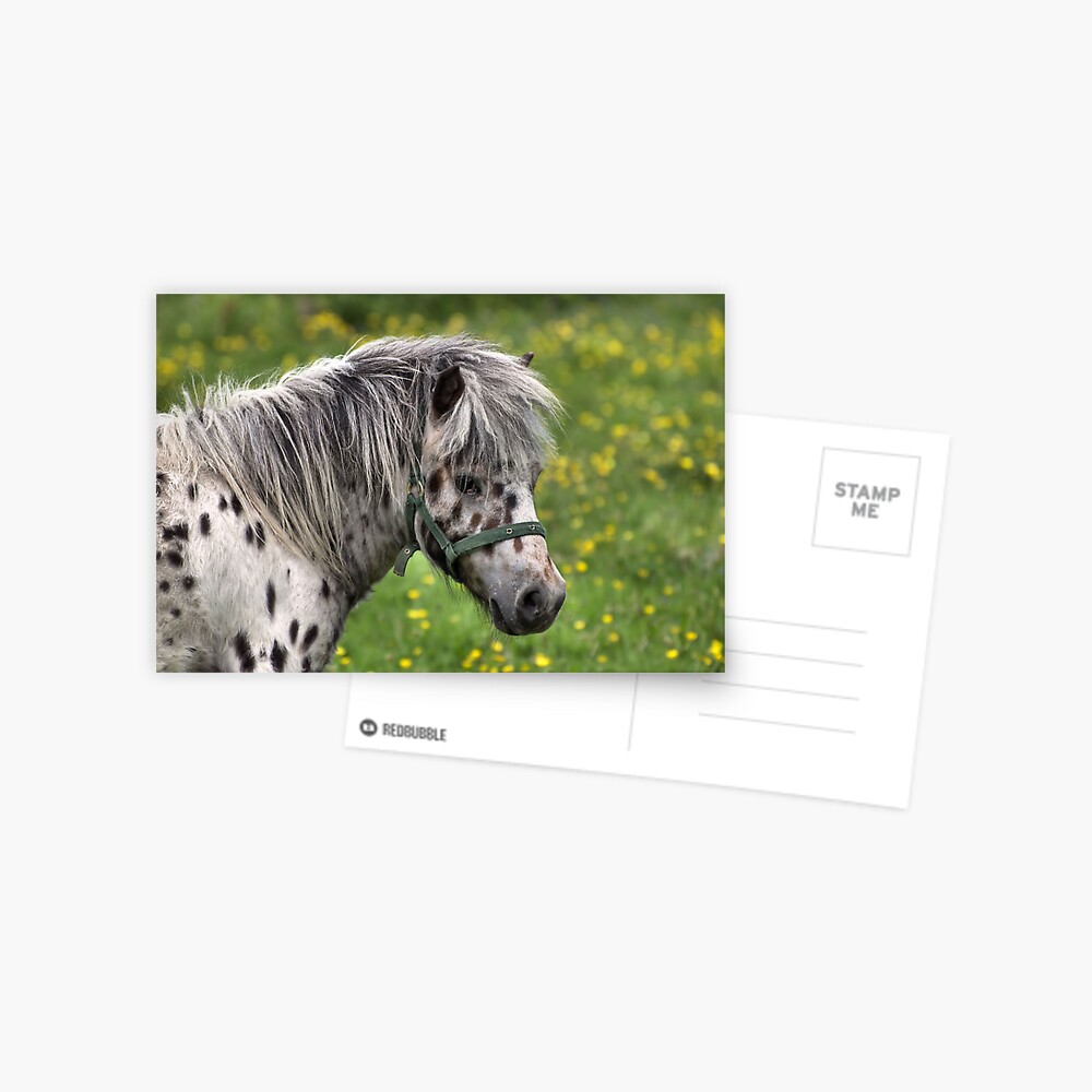 Item preview, Postcard designed and sold by pauleden.