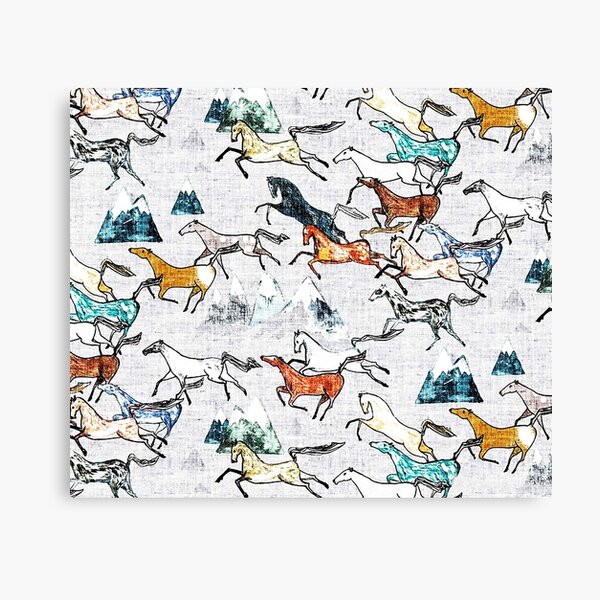 Mt Kosciuszko Brumbies Canvas Print