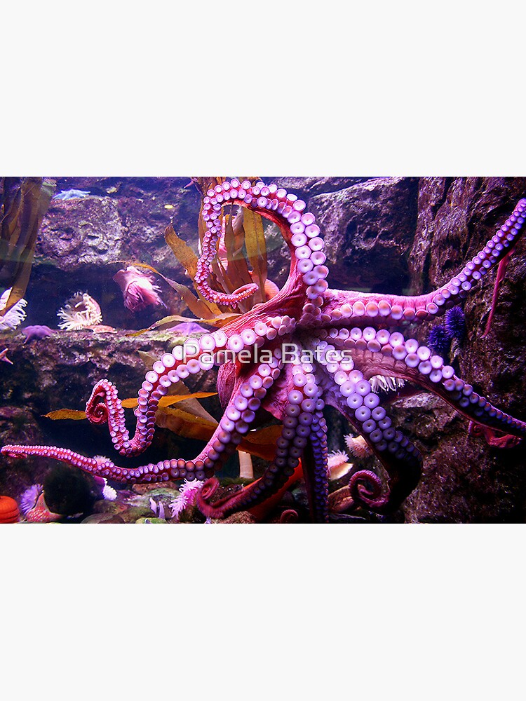 Thumbnail 2 of 2, Greeting Card, Octopus designed and sold by idnurse41.