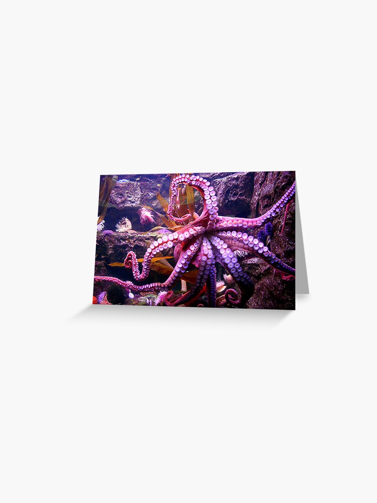 Thumbnail 1 of 2, Greeting Card, Octopus designed and sold by idnurse41.