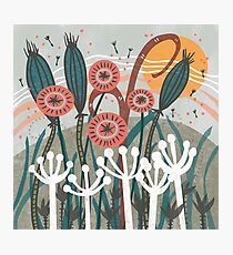 Lámina fotográfica Ilustración floral de la brisa del prado