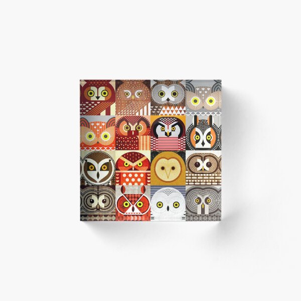 North American Owls Acrylic Block