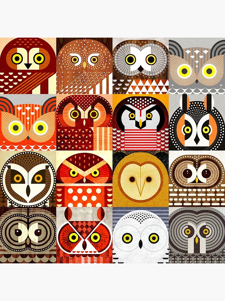 North American Owls by scottpartridge
