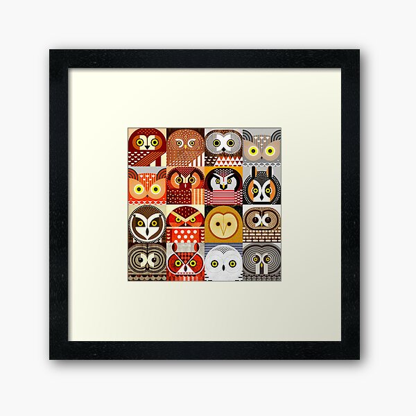 North American Owls Framed Art Print
