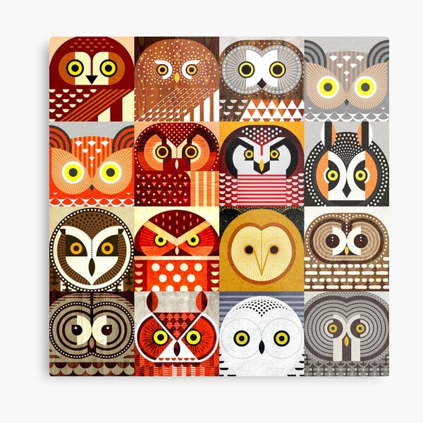 North American Owls Metal Print