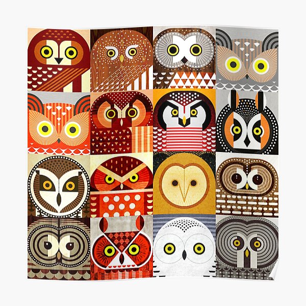 North American Owls Poster