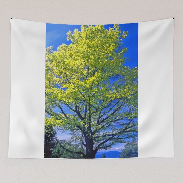 Item preview, Early Springtime Maple, Vancouver BC designed and sold by Priscilla Turner.