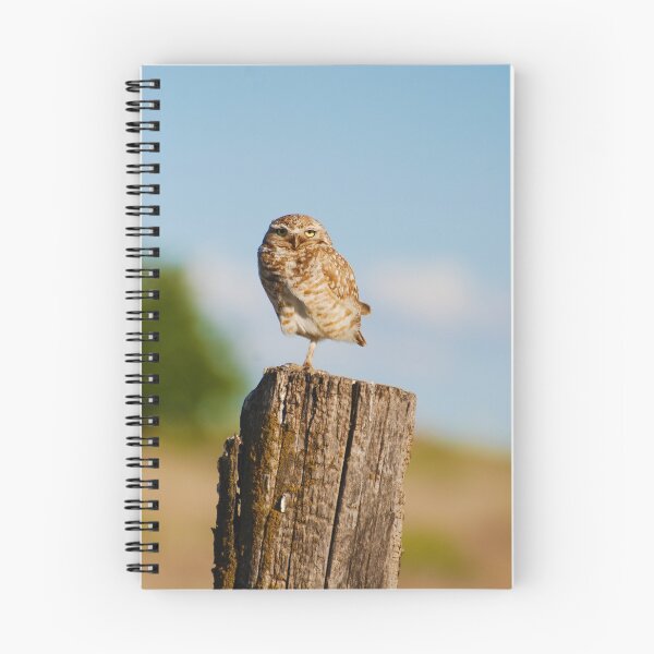 Item preview, Burrowing Owl designed and sold by kimberpix.