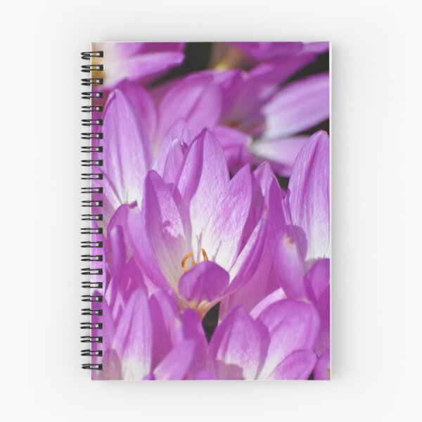 Item preview, Purple Spring Crocus Blooms designed and sold by kimberpix.