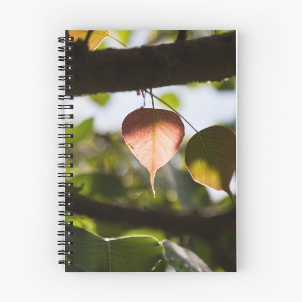 Item preview, Different kind of leaf designed and sold by Jennifer Rose Clement.