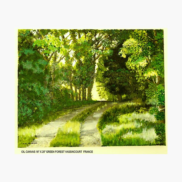 Green Forest Photographic Print