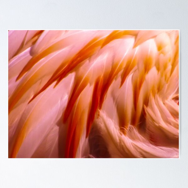 Item preview, Flamingos Feathers  designed and sold by JoshChown.