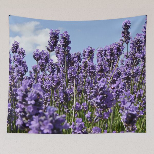 Item preview, Lavender Reaching for the Sky designed and sold by AnnDixon.