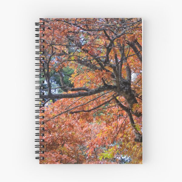 Item preview, Autumn Splendour - Blackheath NSW Australia designed and sold by Salieri1627.