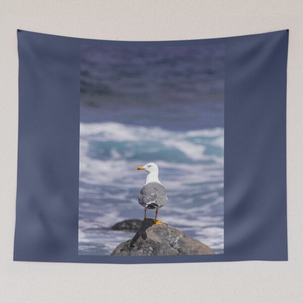 Item preview, yellow-legged gull designed and sold by Martin Leber.
