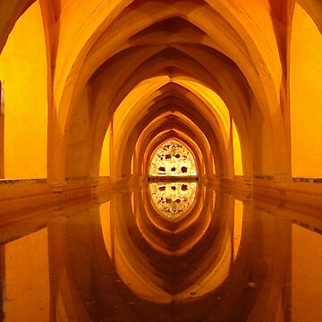 Artwork thumbnail, Pool of reflections, Seville, Spain, 2003 by Chris Culy