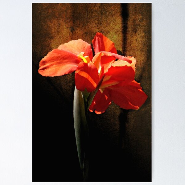 Item preview, Orange Glow designed and sold by pat gamwell.