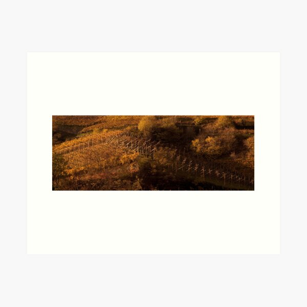 Uphill and down, Bolzano-Bozen, Italy, 2009 Art Print