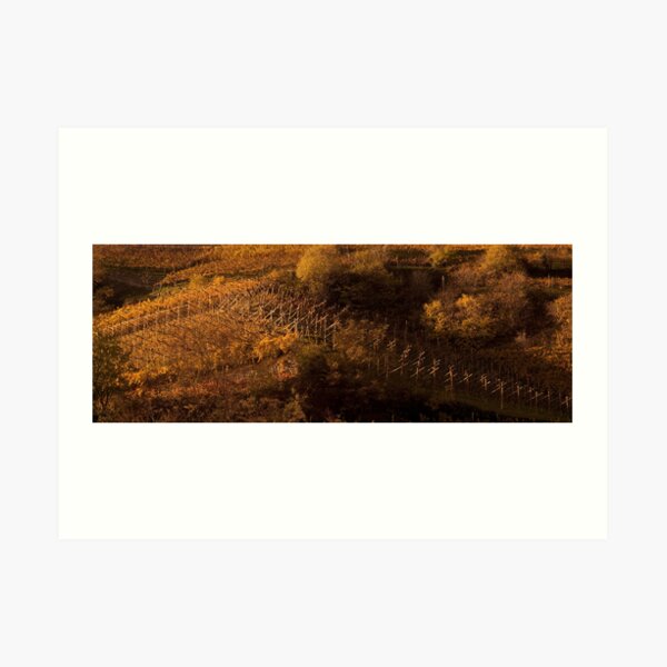 Uphill and down, Bolzano-Bozen, Italy, 2009 Art Print