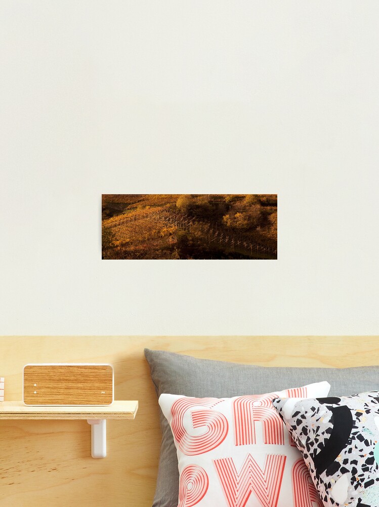 Thumbnail 2 of 3, Photographic Print, Uphill and down, Bolzano-Bozen, Italy, 2009 designed and sold by chrisculy.