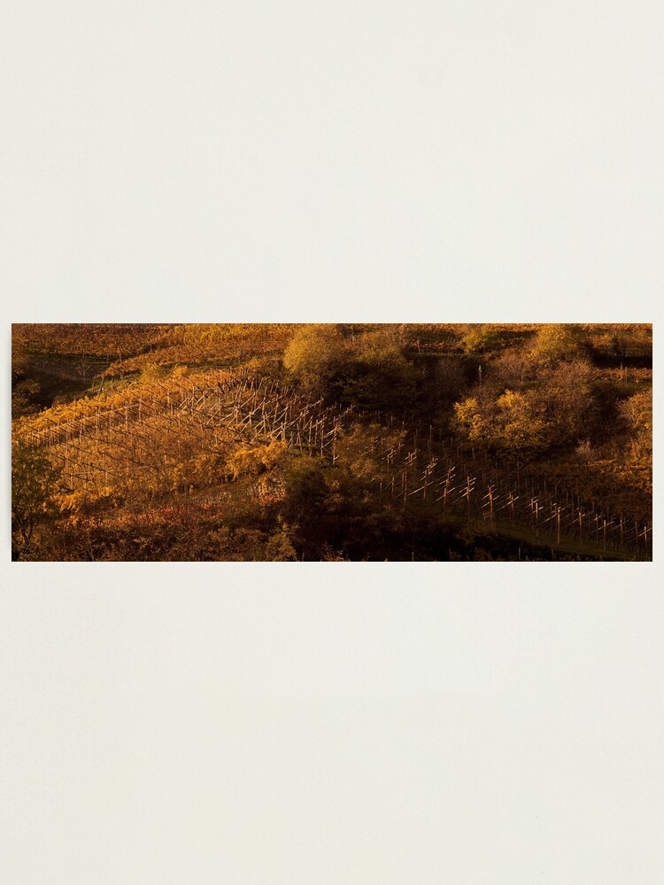Thumbnail 1 of 3, Photographic Print, Uphill and down, Bolzano-Bozen, Italy, 2009 designed and sold by chrisculy.