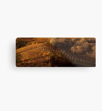 Uphill and down, Bolzano-Bozen, Italy, 2009 Metal Print