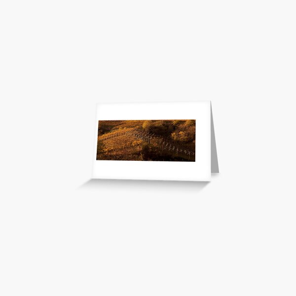 Uphill and down, Bolzano-Bozen, Italy, 2009 Greeting Card