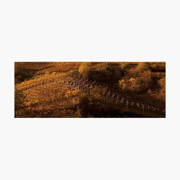 Uphill and down, Bolzano-Bozen, Italy, 2009 Photographic Print