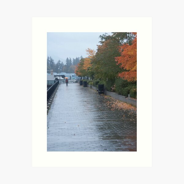 Heading home in the rain, Vancouver, Canada, 2007 Art Print
