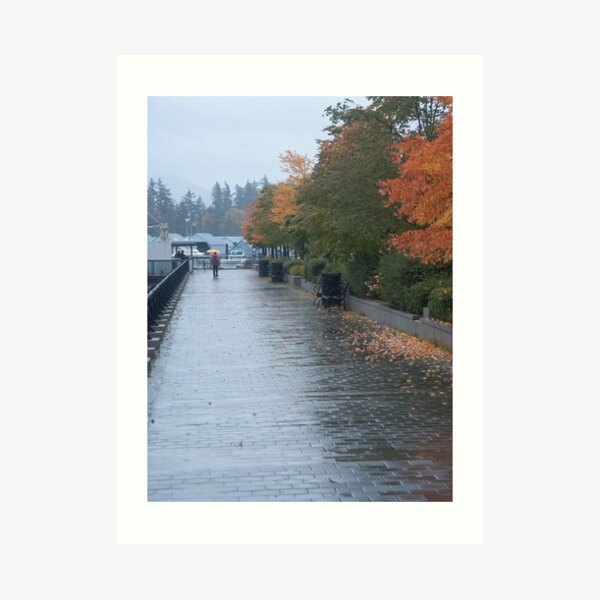 Heading home in the rain, Vancouver, Canada, 2007 Art Print